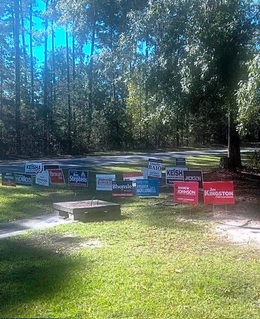 Bryan, Effingham County residents talk early voting : Exclusive