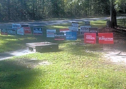 Bryan, Effingham County residents talk early voting : Exclusive