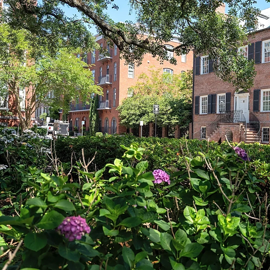 Savannah's weekend lineup has dogs, Pride, art and magic