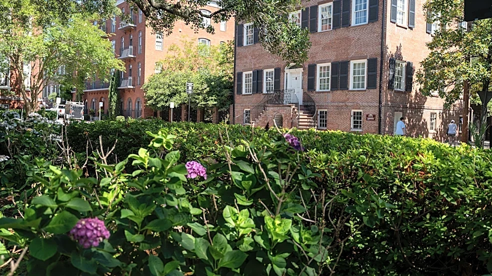 Savannah's weekend lineup has dogs, Pride, art and magic