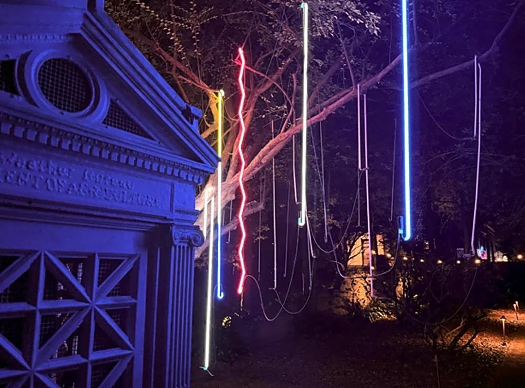 Savannah museum lights up for 2 nights of immersive art