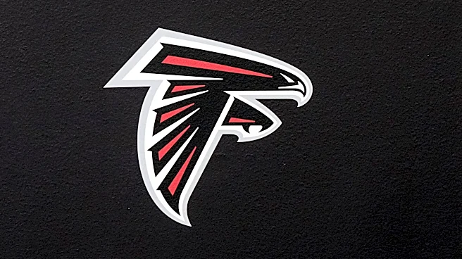 Did the Falcons change their logo? Here's why fans are upset