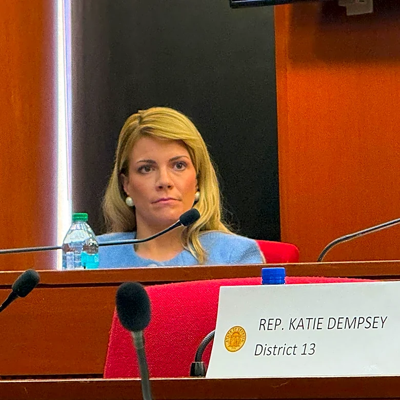 Georgia lawmakers wrap up foster care spending probe