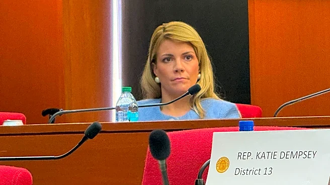 Georgia lawmakers wrap up foster care spending probe
