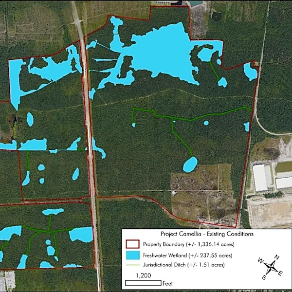 OpenAI applies for permit to fill wetlands for data center | Exclusive