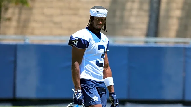 George Pickens makes waves with highlight reel catch