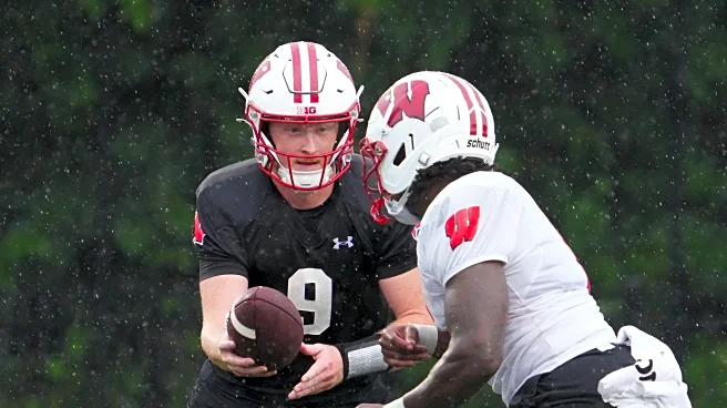 Ranking the 7 most important Badgers in 2025