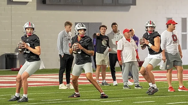 2025 Ohio State Buckeyes Football Preview, Big Questions