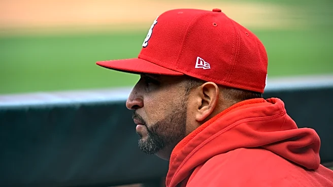 Expect Oli Marmol to be the Cardinals manager in 2026