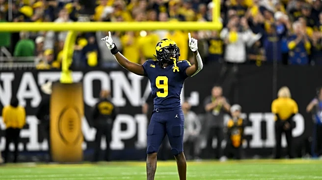 Michigan Closing Arguments