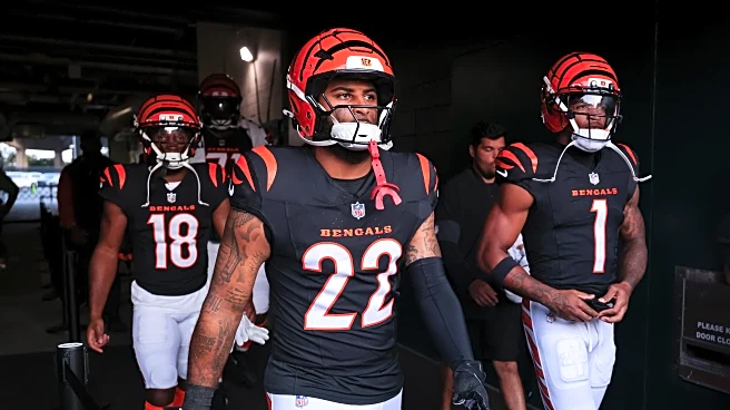 Bengals Injury Updates: Geno Stone, Orlando Brown return; Myles Murphy still out