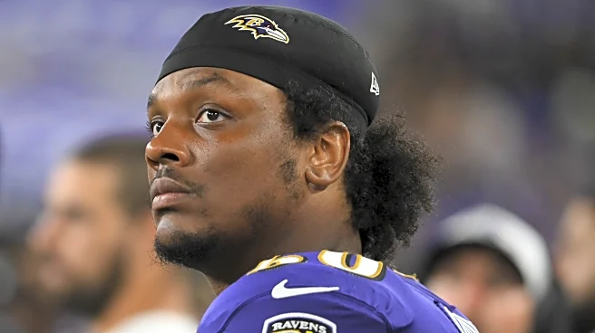 Steelers sign former Ravens offensive tackle