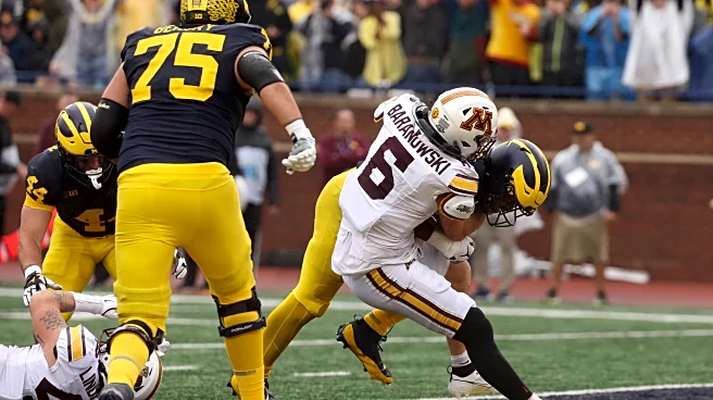 Minnesota Football Preview: Upgrade/Downgrade LB