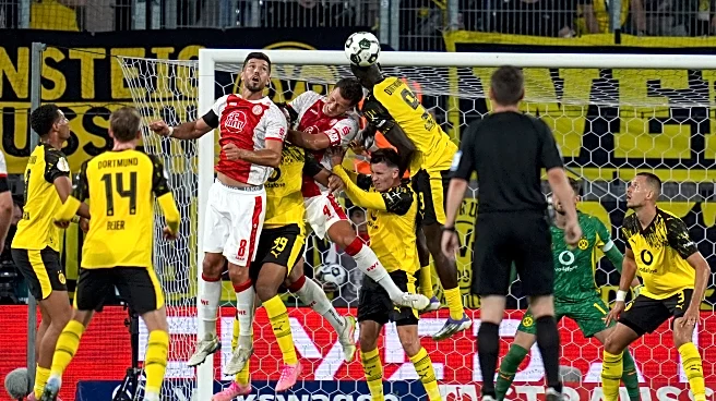 Post-Match Reactions: Guirassy and Kobel Shine as BVB Stumble to First Round Win Against RW Essen