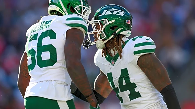 New York Jets 2025 Linebacker Preview: A Dynamic Duo Leads the Way