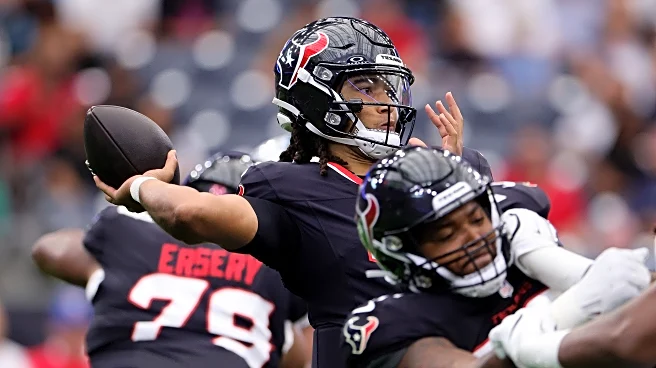 The Day After The Day After (plus a couple): Houston Texans defeat the Carolina Panthers in sole home preseason game.