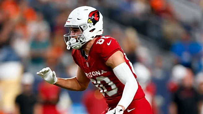 Arizona Cardinals preseason offensive snap counts against the Denver Broncos