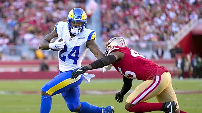 Bears try out three running backs