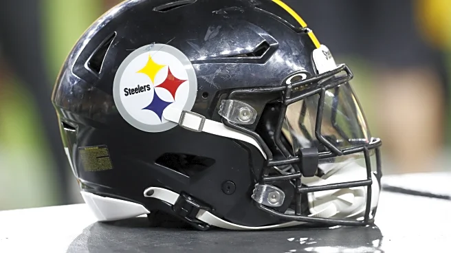 Steelers waive/injured rookie OT