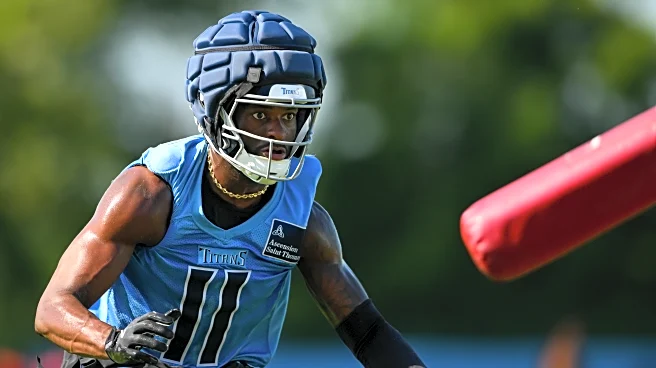 Van takes the blame, Simmons speaks and other Titans bullets