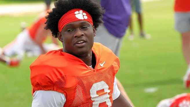 2025 Clemson Football Preview: Running Backs