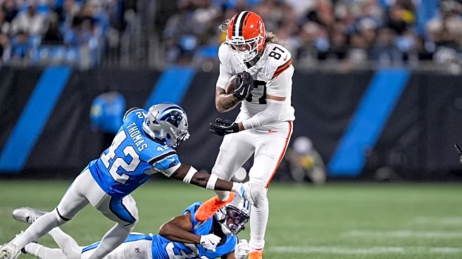 Panthers vs Steelers: Preseason defensive preview