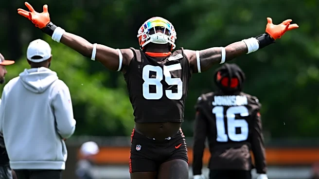 Browns 2025 win total odds: Is Cleveland about to exceed expectations?