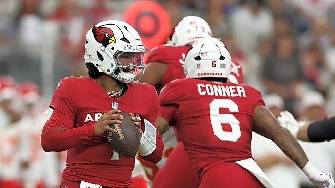 Fanduel Futures: Arizona Cardinals skill players offer plenty of options