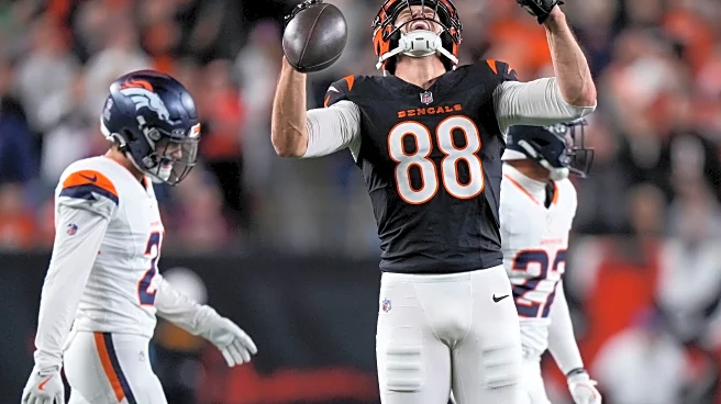 Zac Taylor gives updates on injured Bengals