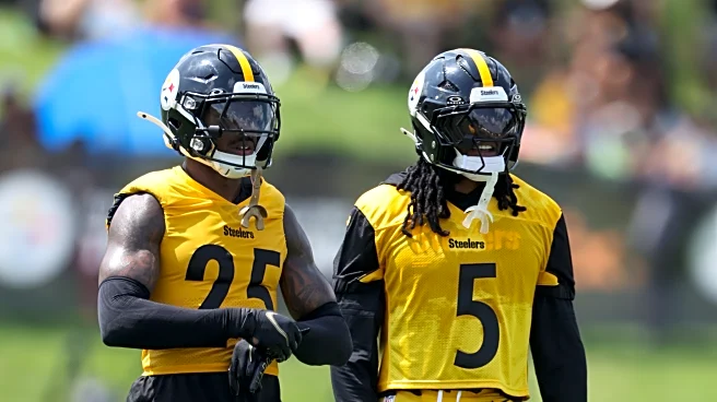 Steelers at Panthers preseason Week 3: How to watch, what to watch