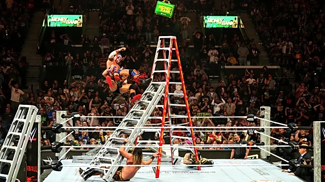 Calling all WWE wannabes! UFC’s Dana White offering ‘real money’ for ladder-jumping tack takers in prosperous Power Slap