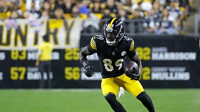 Steelers WR suffers injury vs. Panthers