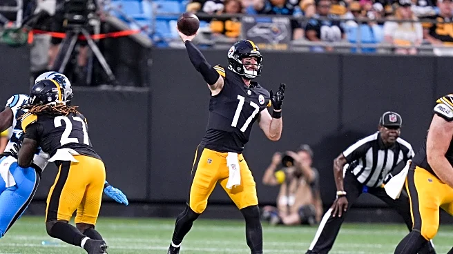 Steelers starters put on sloppy performance in preseason finale vs. Panthers