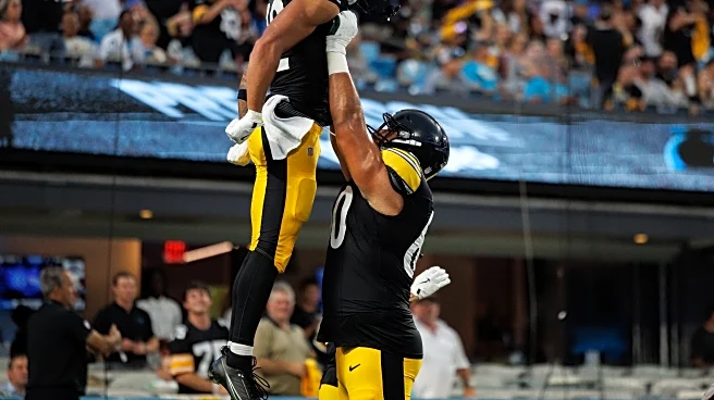 Winners and losers from Steelers preseason finale vs. Panthers