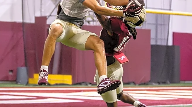 FSU’s revamped receiver room has the pieces for 2025 rebound