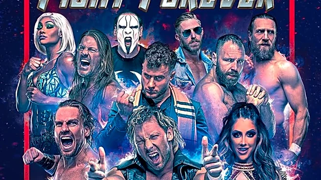 Doesn’t sound like we should expect new AEW video games any time soon