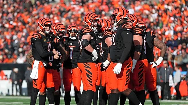 Bengals News (8/23): Bengals vs. Colts News and Pregame Thread