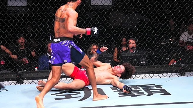 Highlights! Charles Johnson stuns rising prospect Lone’er Kavanagh with comeback knockout | UFC Shanghai