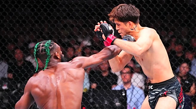 Brian Ortega vs. Aljamain Sterling full fight video highlights