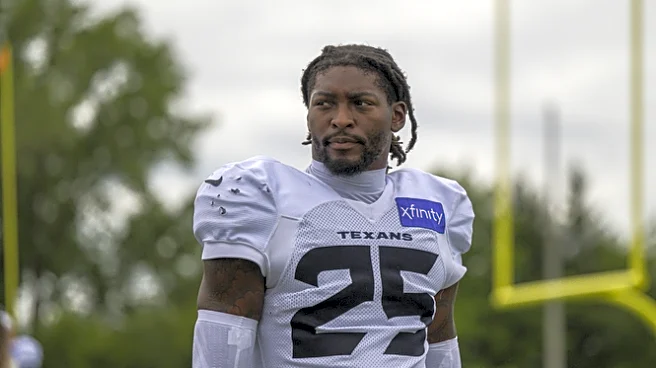 Houston Texans Preseason Week 3: Houston Texans at Detroit Lions