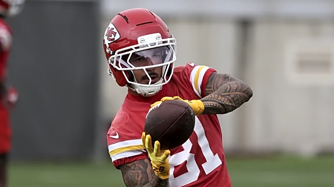 Arrowheadlines: Roster projections sees 7 receivers make the final roster