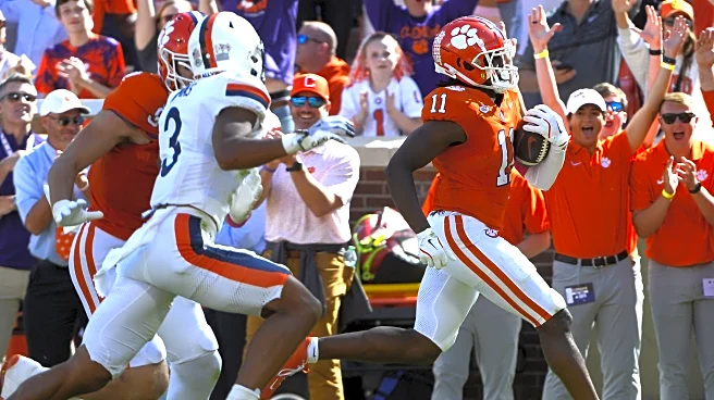 2025 Clemson Football Preview: Tight Ends