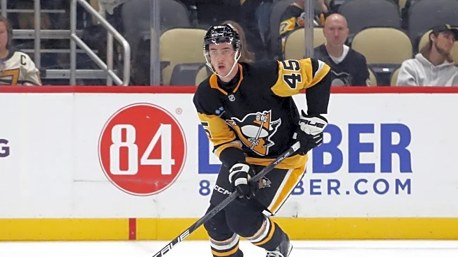 PensBurgh Top-25 Under 25: No. 3 Harrison Brunicke