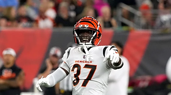 NFL waiver wire explained: Bengals players subject to the process