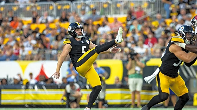 Report: Steelers release punter Cam Johnston