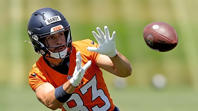 Broncos have waived wide receiver Michael Bandy