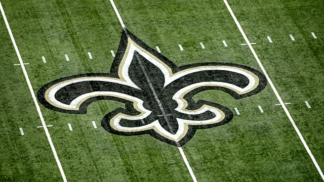 What are the odds? 2025 NFC South division winner