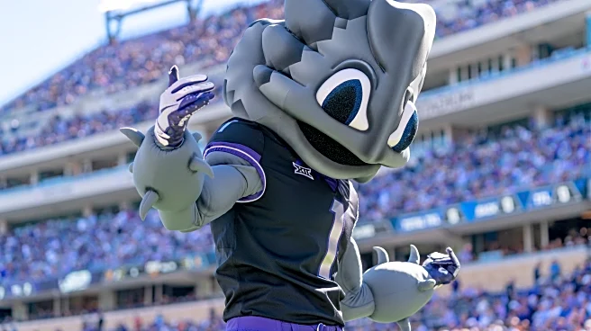 Frogs O’ War Roundtable: 2025 Season Predictions