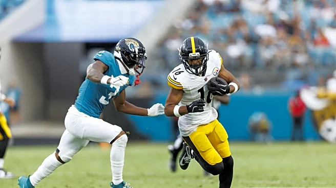 Steelers release WR Robert Woods