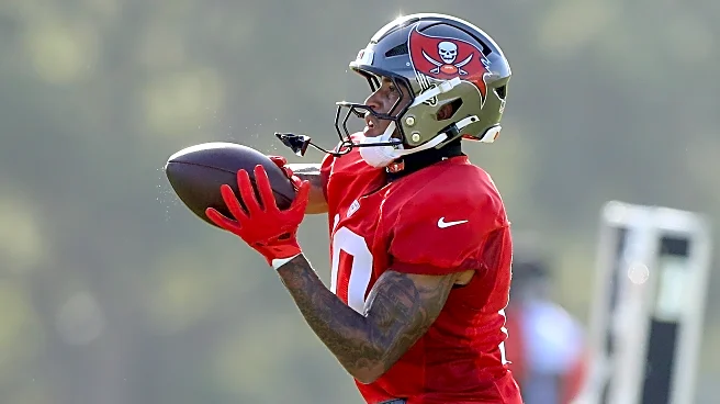 7 released players the Titans should consider adding to their 53-man roster
